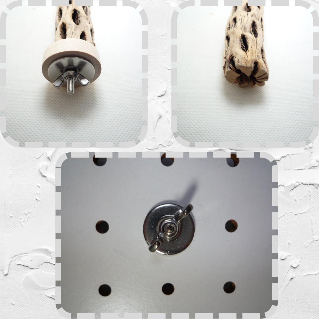 Chiiia様おまとめ　止まり木　カクタススケルトン　パーチ　2本