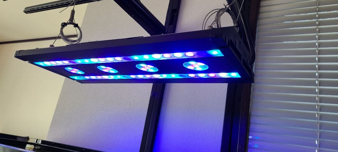 スペクトラ　ＳＰ２００ ブラック