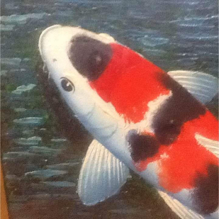 昭和レトロ 日本 絵画 油絵 錦鯉　锦鲤　Nishikigoi