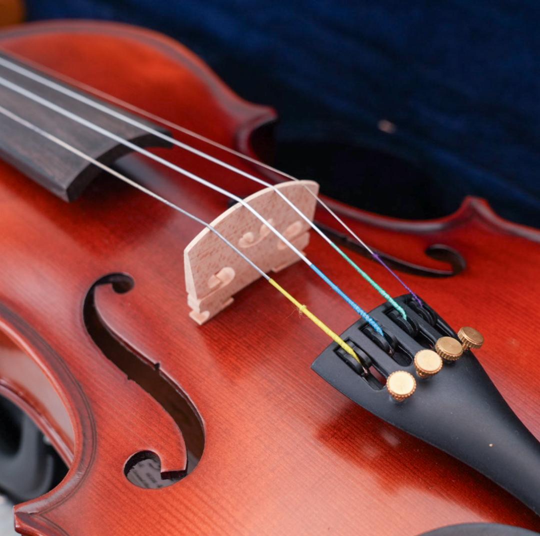 PLAYTECH プレイテック PVN344 バイオリン 4/4 おまけ付き