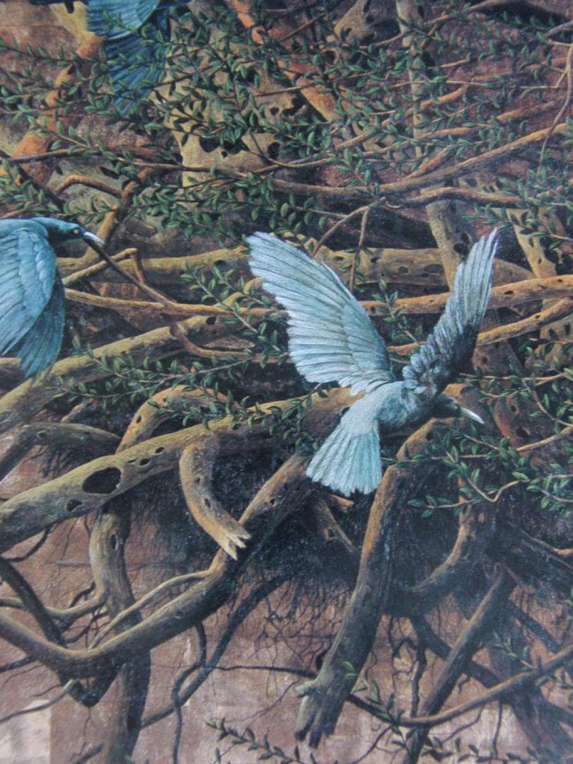 小柳吉次、【耀】、希少な額装用画集より、新品額装付、状態良好