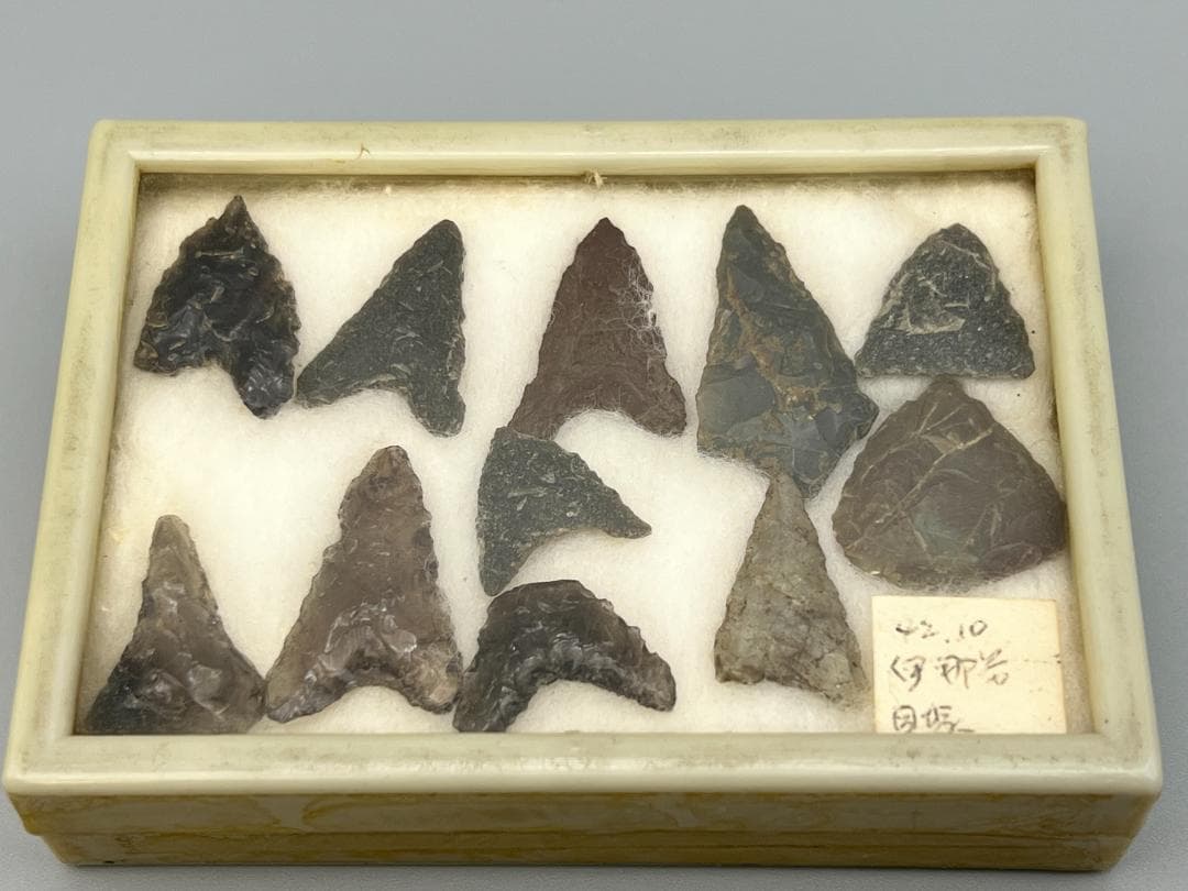 【海】石器時代 矢尻 打製石器 黒曜石 縄文時代 イグアノドン化石骨（断面）