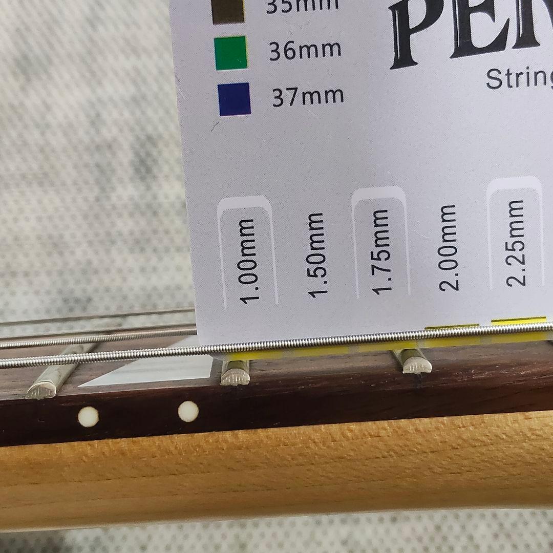 ギター Team GJ by Grover Jackson RandyV