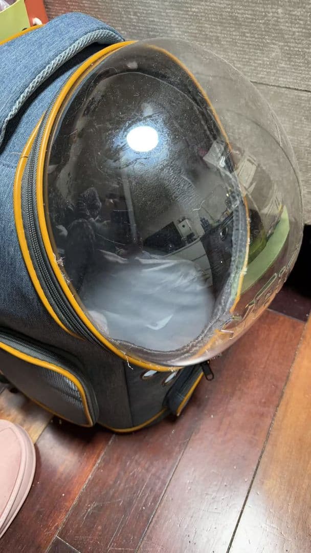 ペットキャリーバッグ 透明カプセル 通気性抜群 猫・小型犬用 お出かけリュック