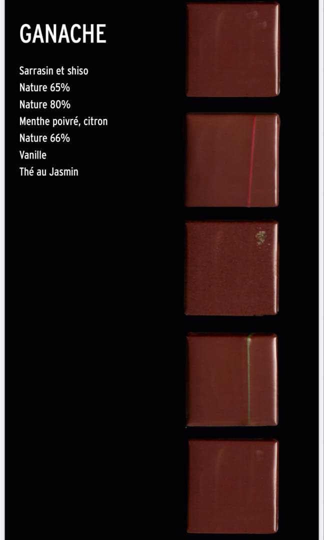 PatrickRoger ショコラアソート　9個入り　パトリックロジェ