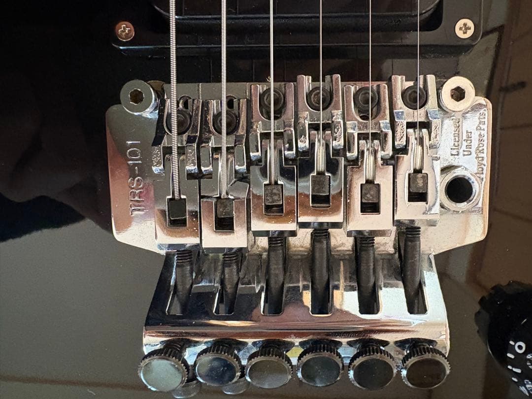 EDWARDS EP-90 MLタイプ ダイムバック・ダレルモデル