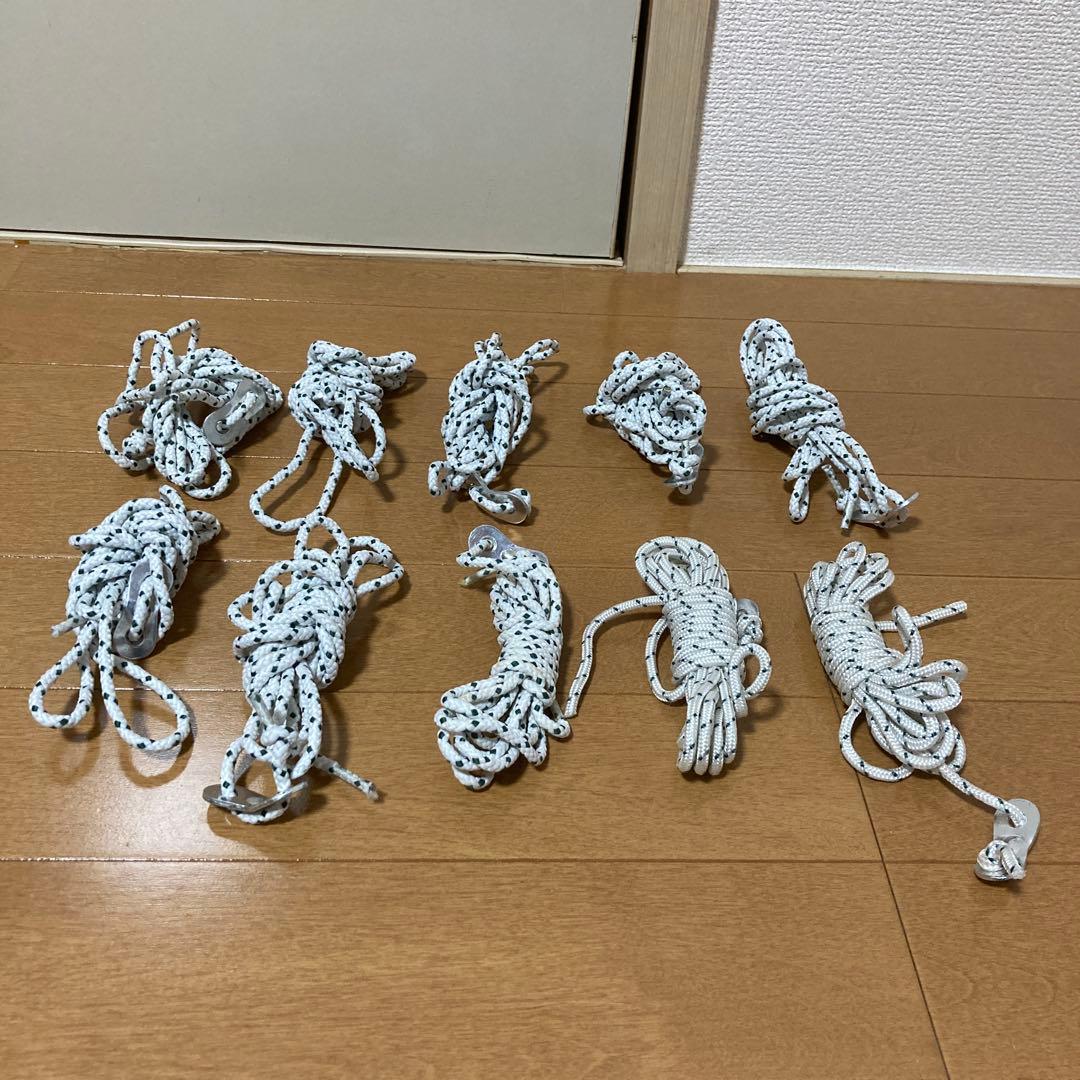 Coleman スクリーンキャノピータープ300 フルメッシュ テント