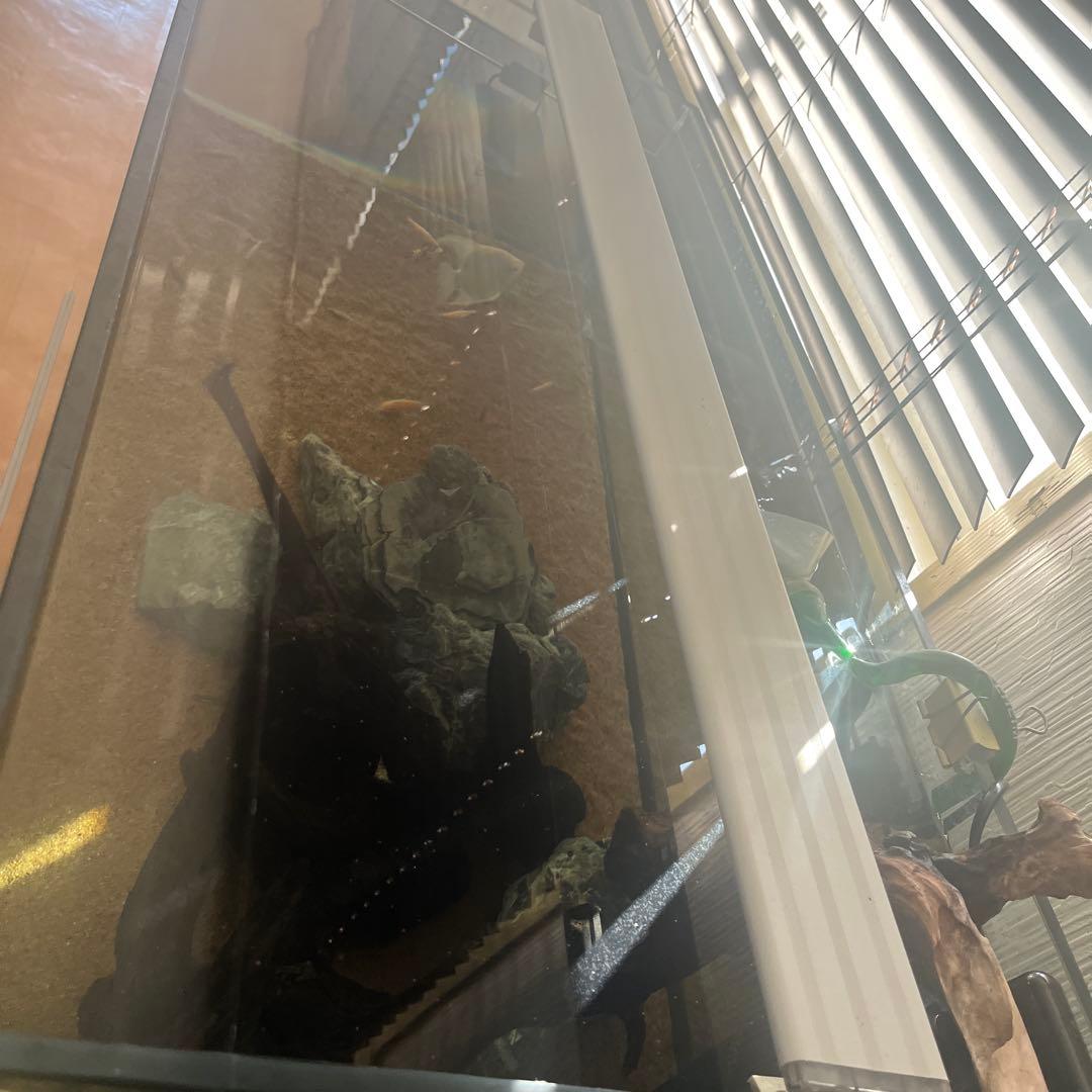 90センチ水槽、棚、ジェックス9012、ライトフルセット