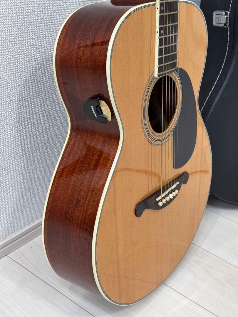 【お得】James JF350NAアコースティックギター ハードケース付き