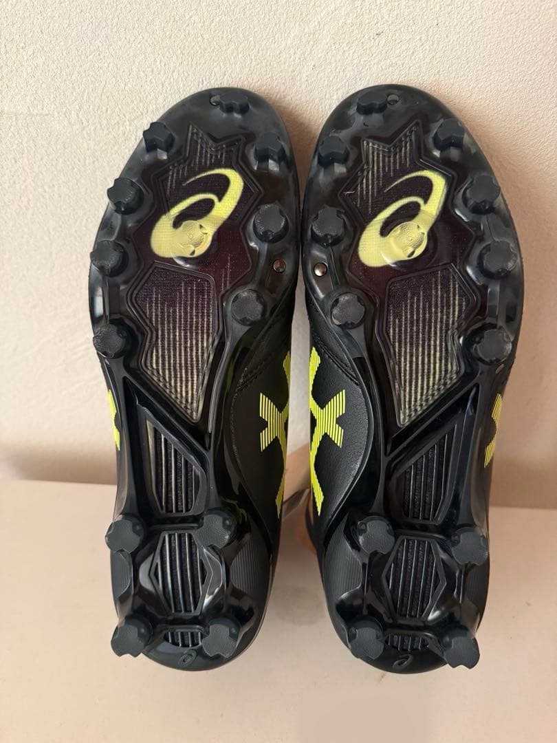 値下げしました！新品asics DS LIGHT X-FLYPRO 24.5cm