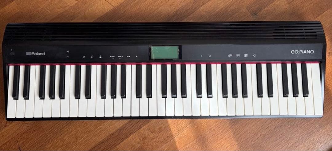 Roland GO:PIANO GO-61P 電子ピアノ キーボード 2018年