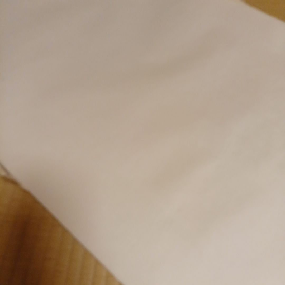 書道　正絹画仙紙53×360cm　10枚