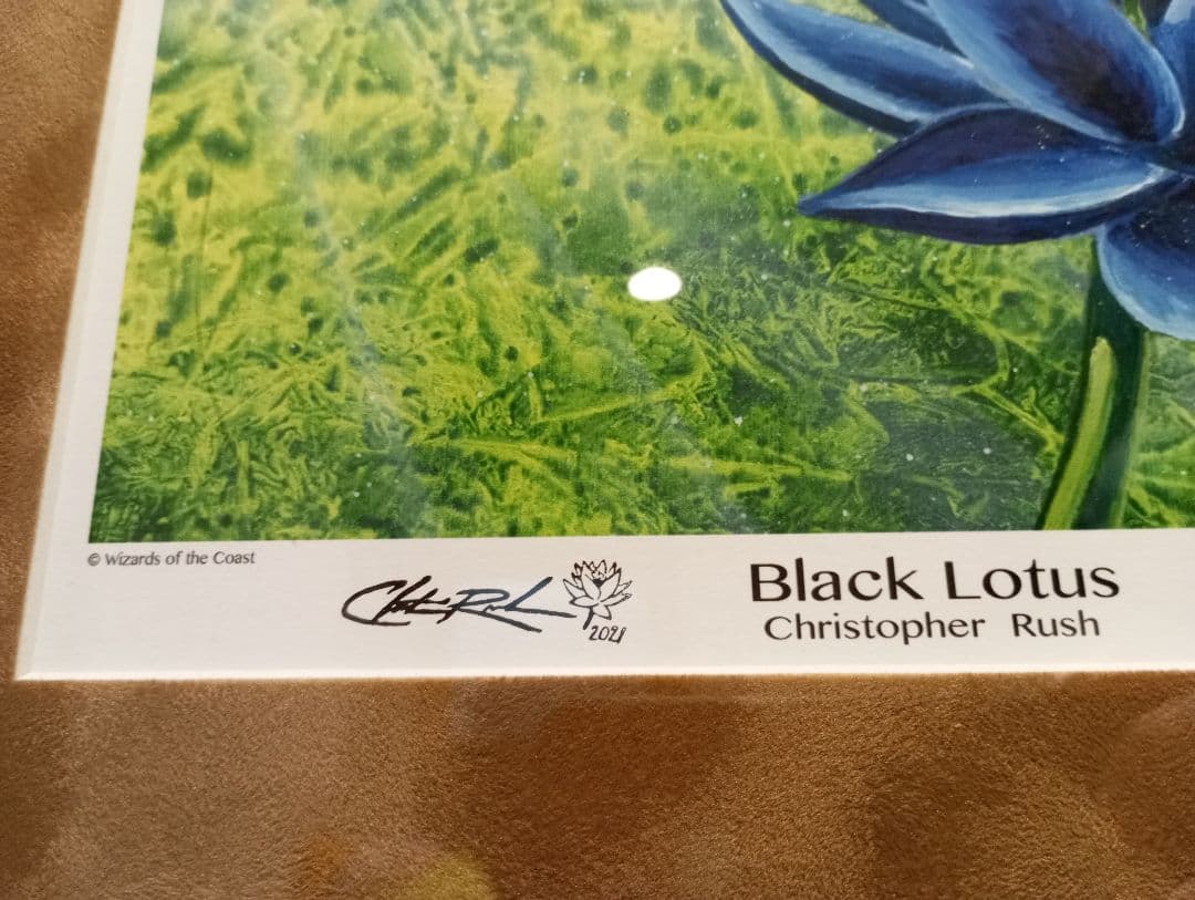 Black Lotus アートプリント 額付き