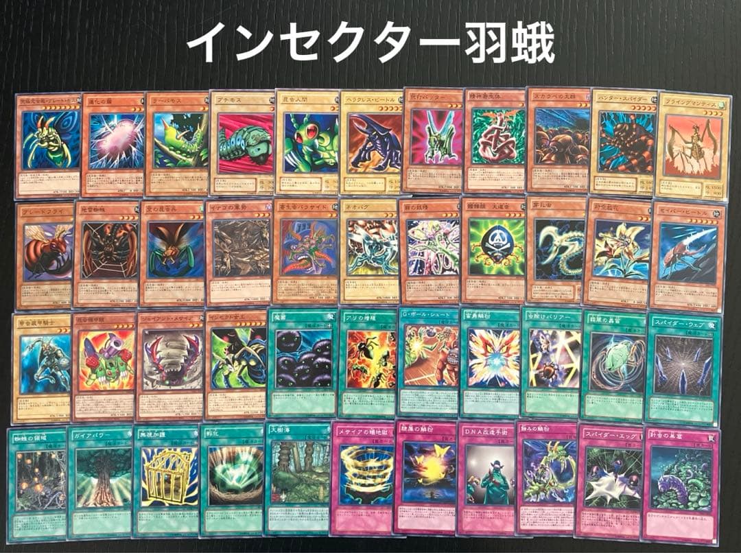 遊戯王　デュエルモンスターズ　キャラデッキ　まとめ売り　12セット