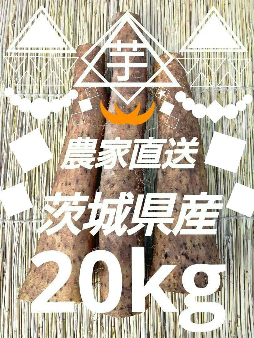 ★新鮮な大きめな長芋たっぷり◆