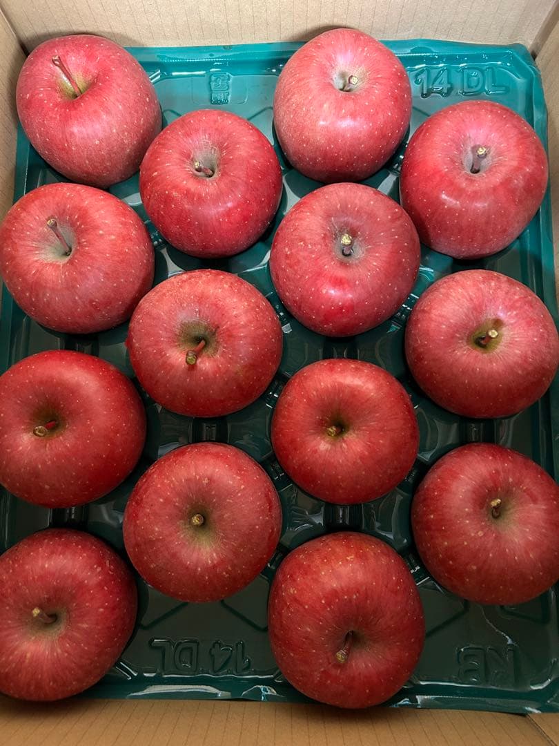 青森県産りんご贈答用サンふじ１０キロ
