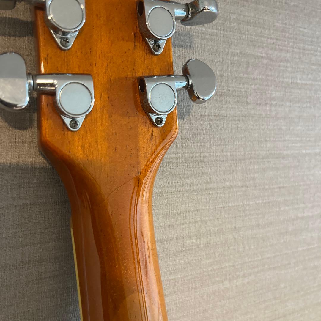 LaidBack レイドバック レスポール エレキギター トラ目 虎杢