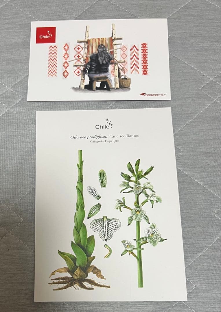 大阪関西万博　チリ　ノベルティセット　トートバッグ　ナップサック　ノート　ペン等