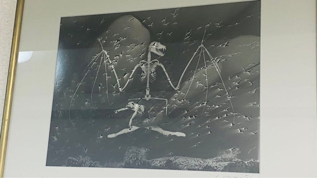 内藤忠行　写真原画　蝙蝠　オリジナル