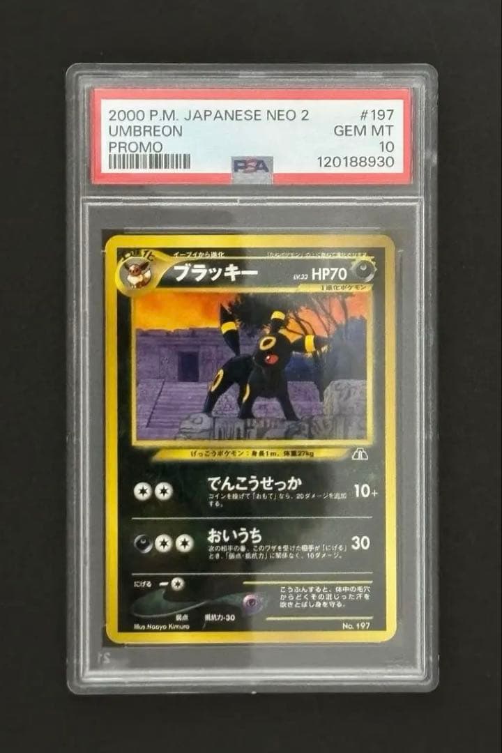 PSA10 ブラッキー 旧裏 プレミアムファイル2 プロモ