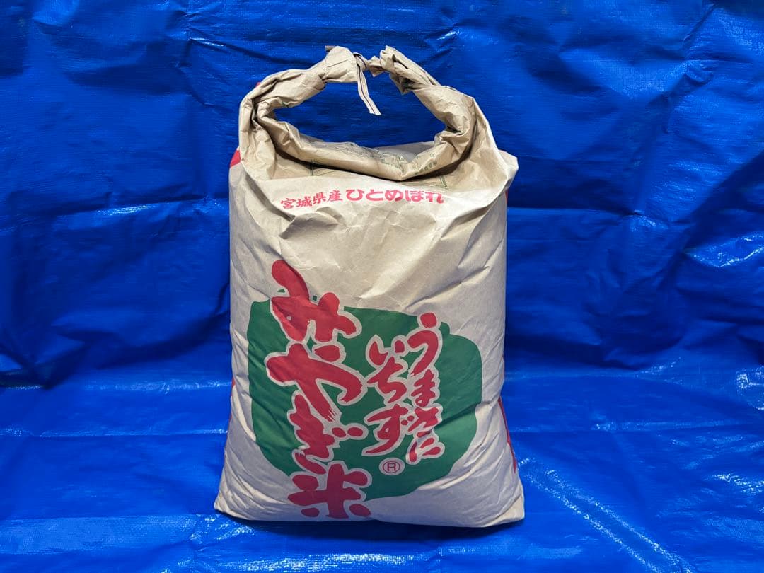 令和6年度 宮城県産 ひとめぼれ 約25kg 精米済