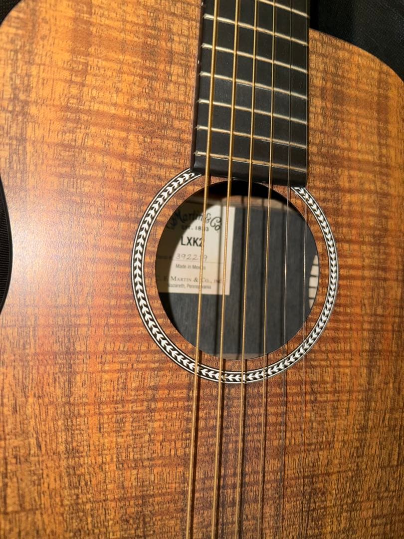 Martin & Co. LXK2 アコースティックギター