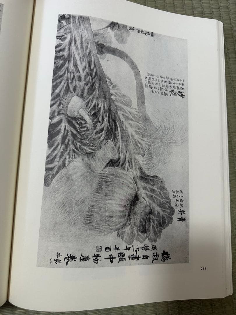 趙之謙　中国　骨董品　古美術品　掛け軸　書　出版物　巨大本　清朝　古書