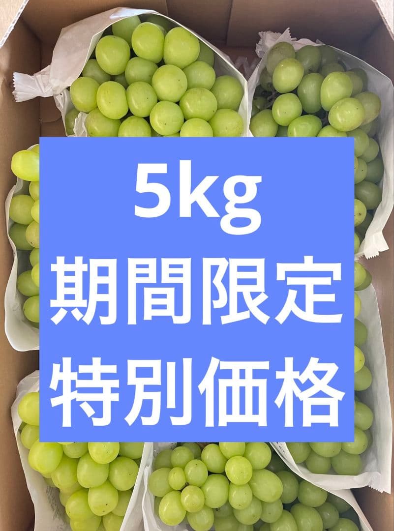「週末セール」シャインマスカット5kg 房入り 訳あり ラスト