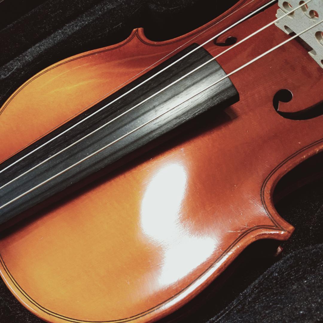 Ron【美品】SUZUKI バイオリン 3/4 No.280 杉藤弓