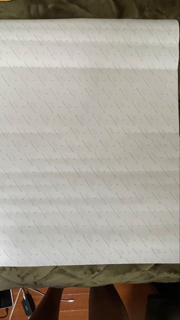 激レア 2005 Supreme Ghostface Raekwon ポスター