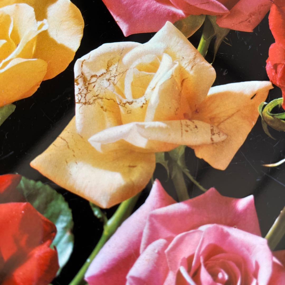 イギリス製　ヴィンテージ　ウースターウェア社　トレイ