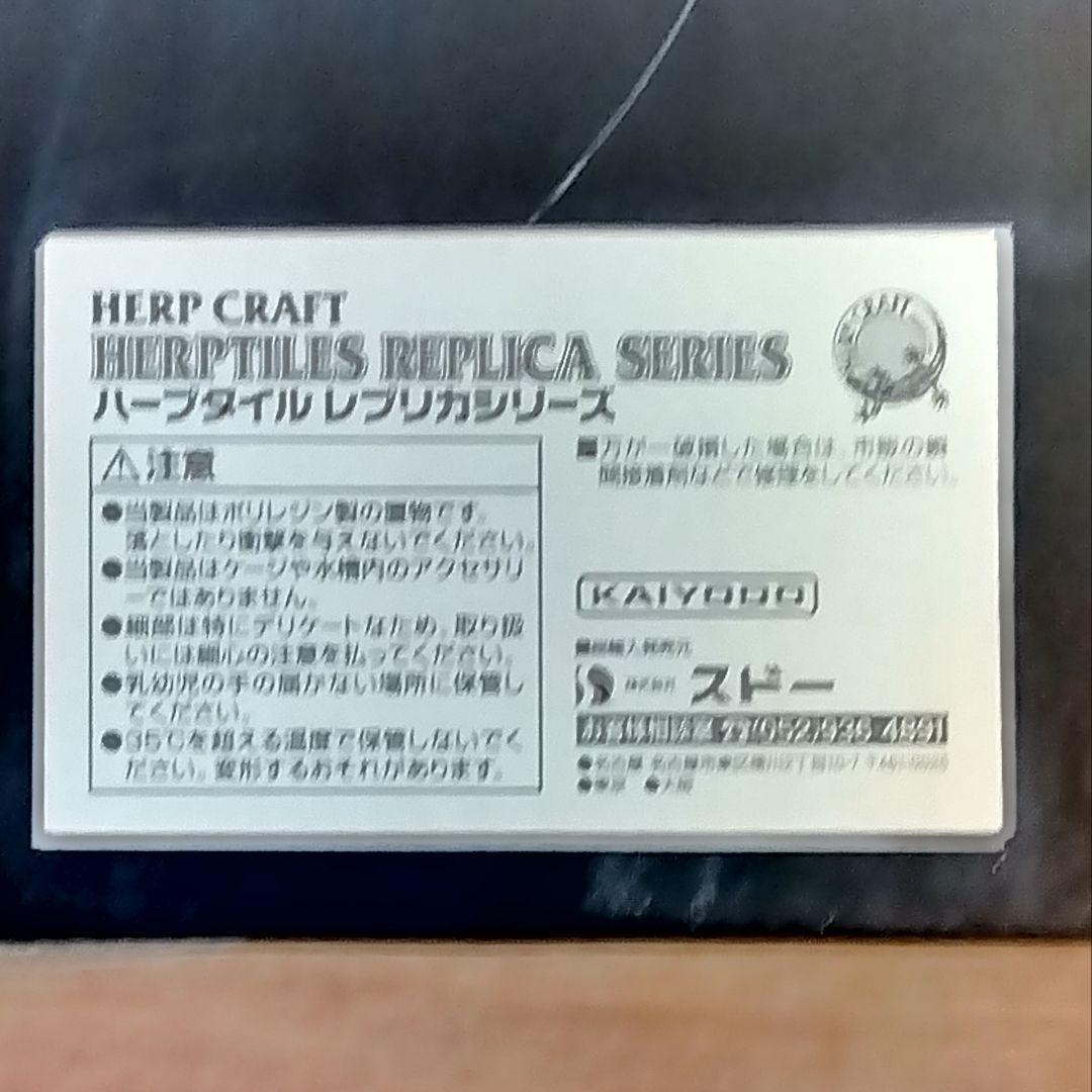 海洋堂　クロイワトカゲモドキ