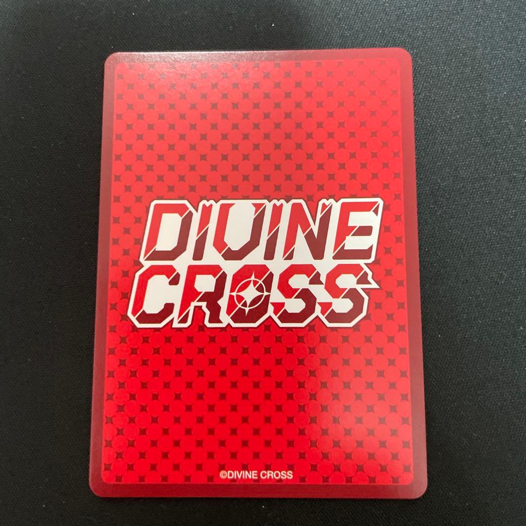 ディヴァインクロス　バニーガーデン　密着ハグ 花奈 シリアル SEC