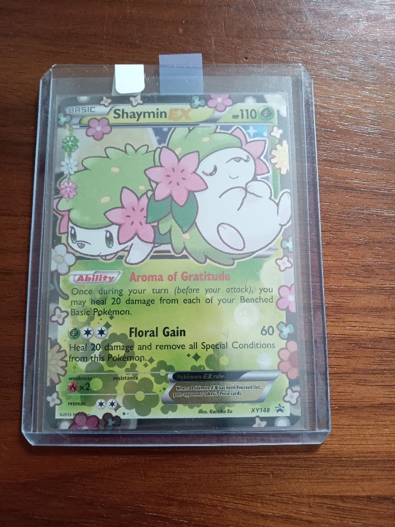 シェイミex 英語版　1枚　ポケキュン　レア