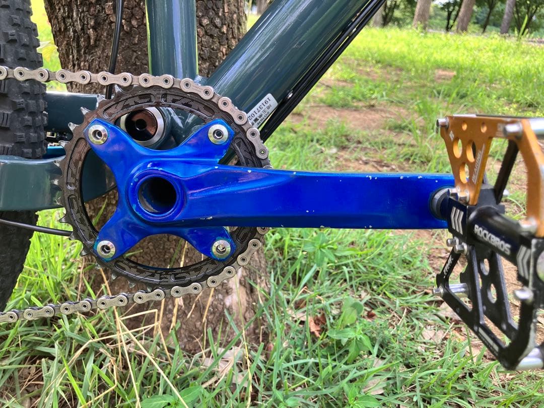 9月中旬まで　手渡し限定salsa horsethief 自転車本体　最終値下げ