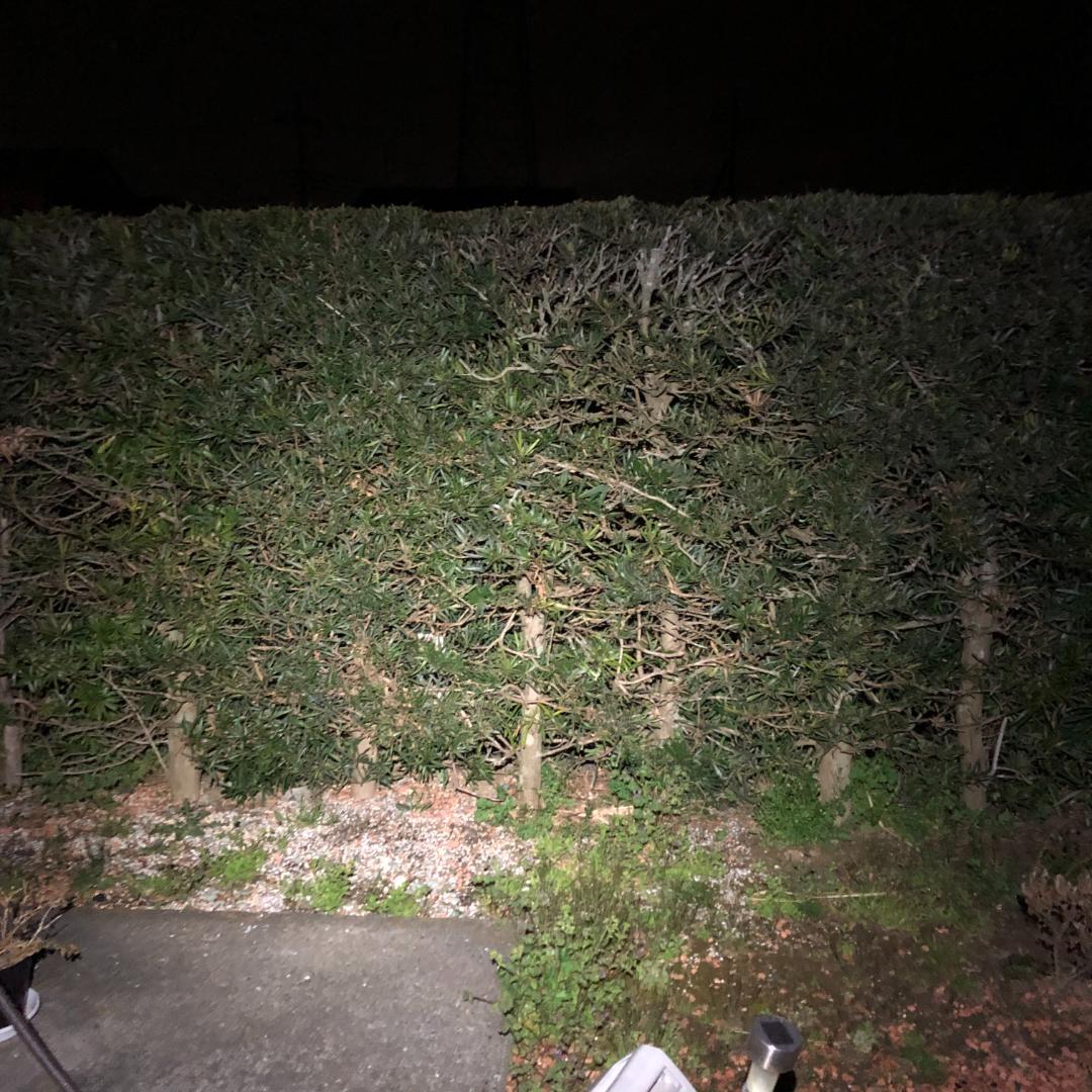 TJMデザイン タジマ(Tajima) LEDヘッドライトE502Dセット LA