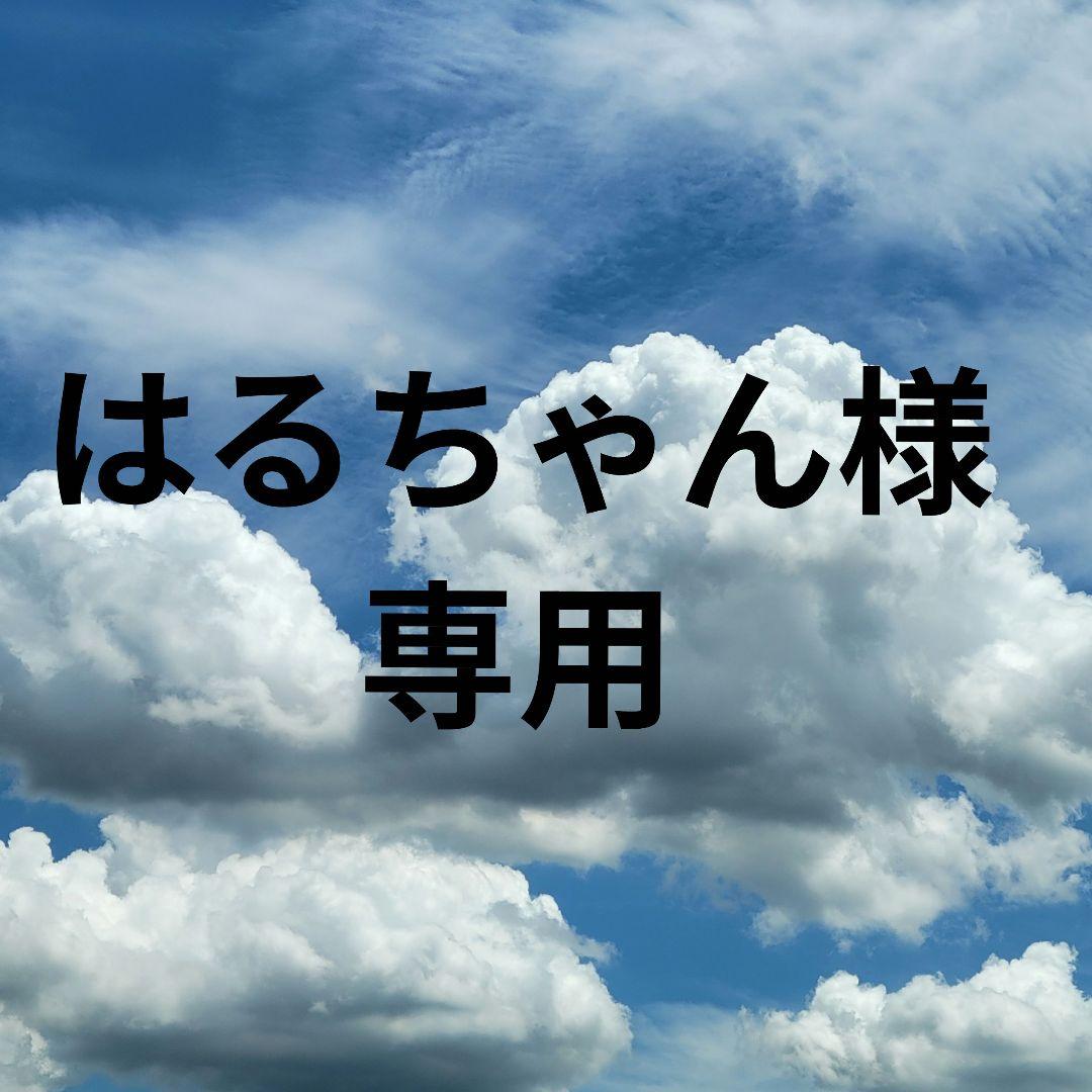 はるちゃん