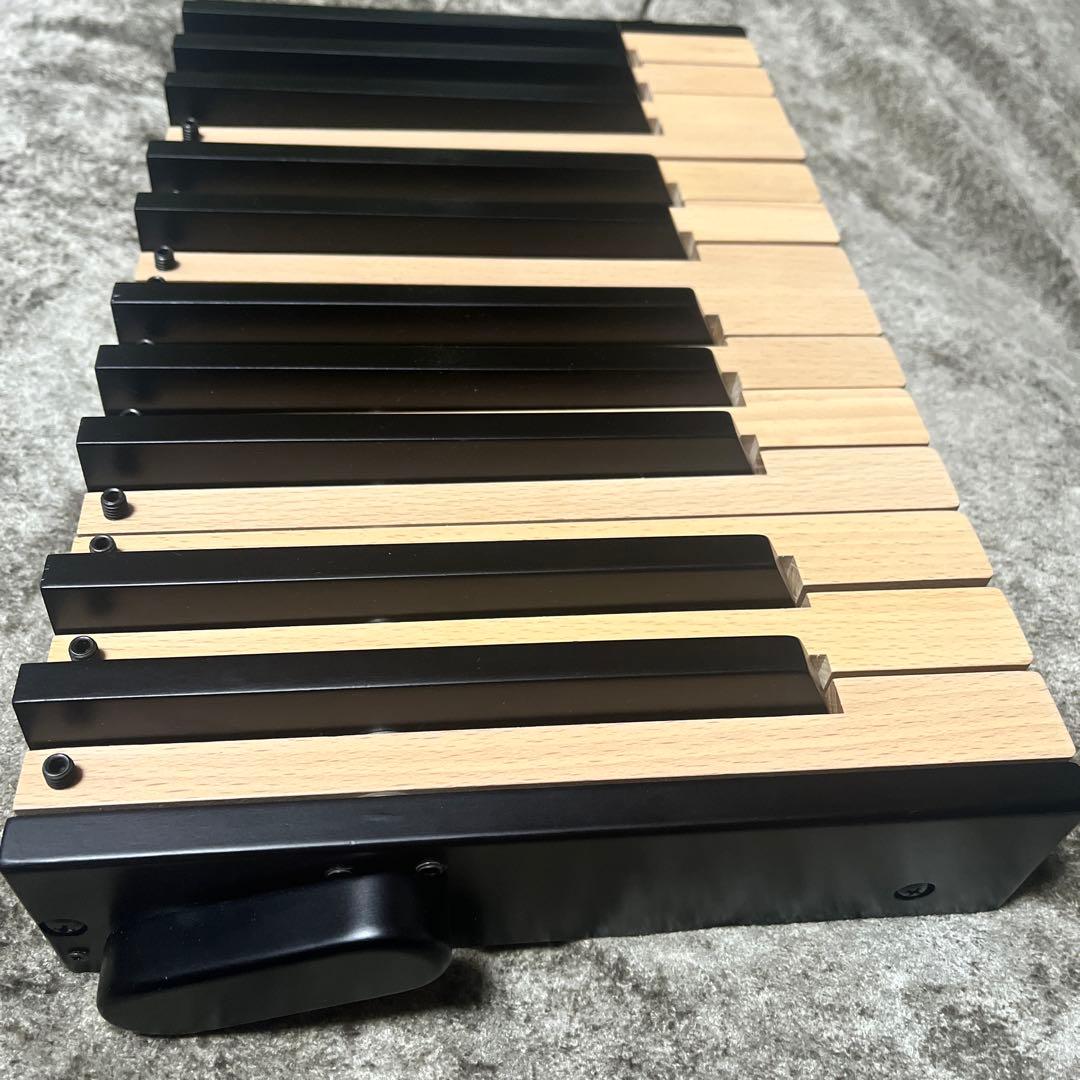 【匿名配送】トレーニングキーボード 携帯鍵盤2oct TKY-2