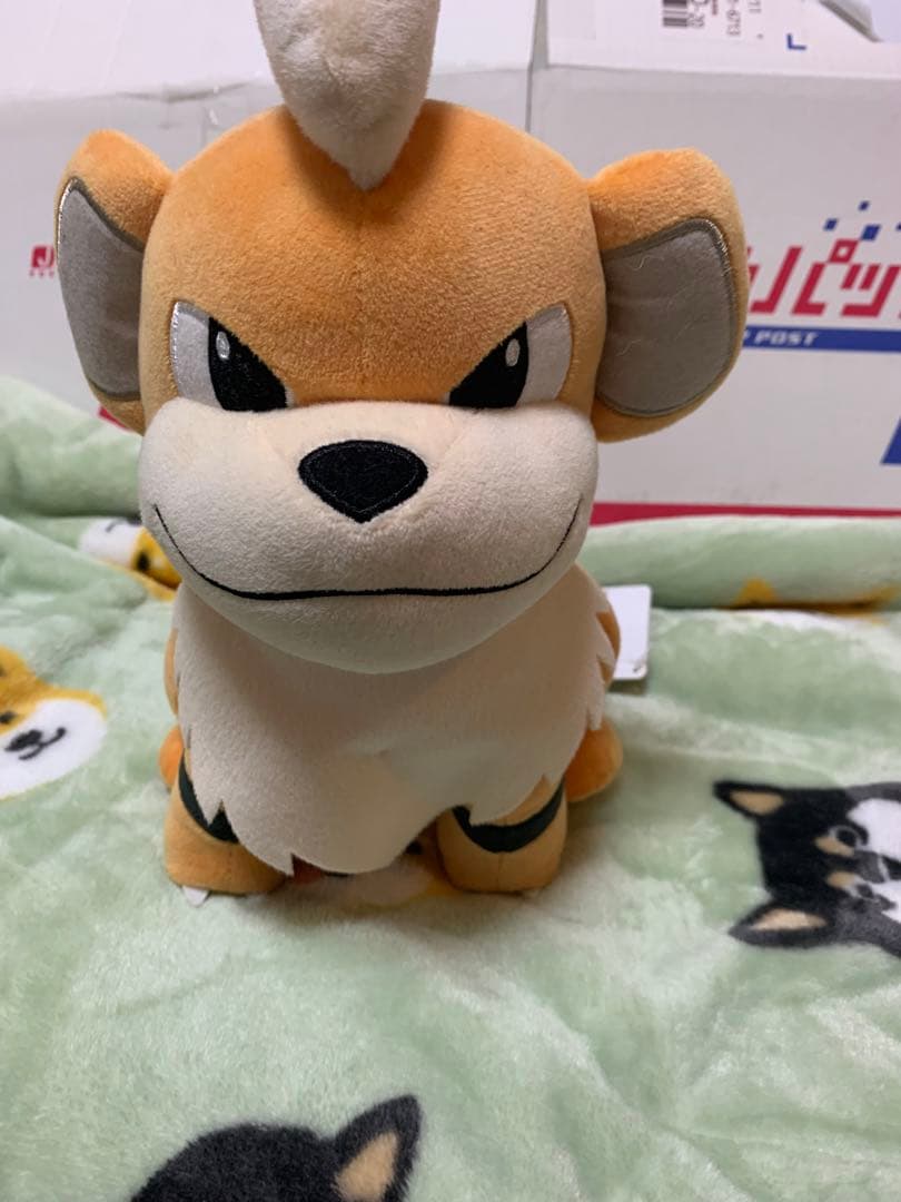 完全受注生産！添い寝ウインディ