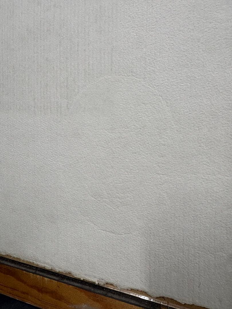 金子國義　貝殻と少女　リトグラフ