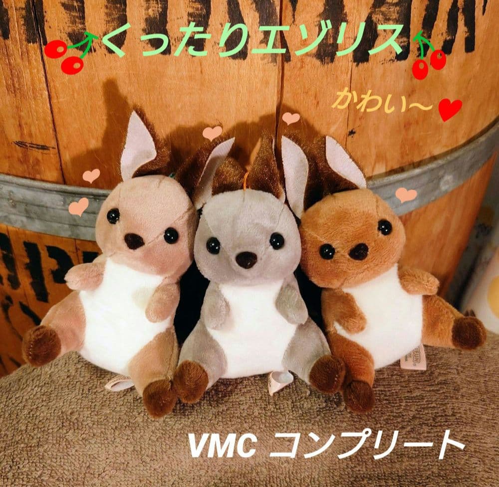 くったりエゾリス VMC コンプリート