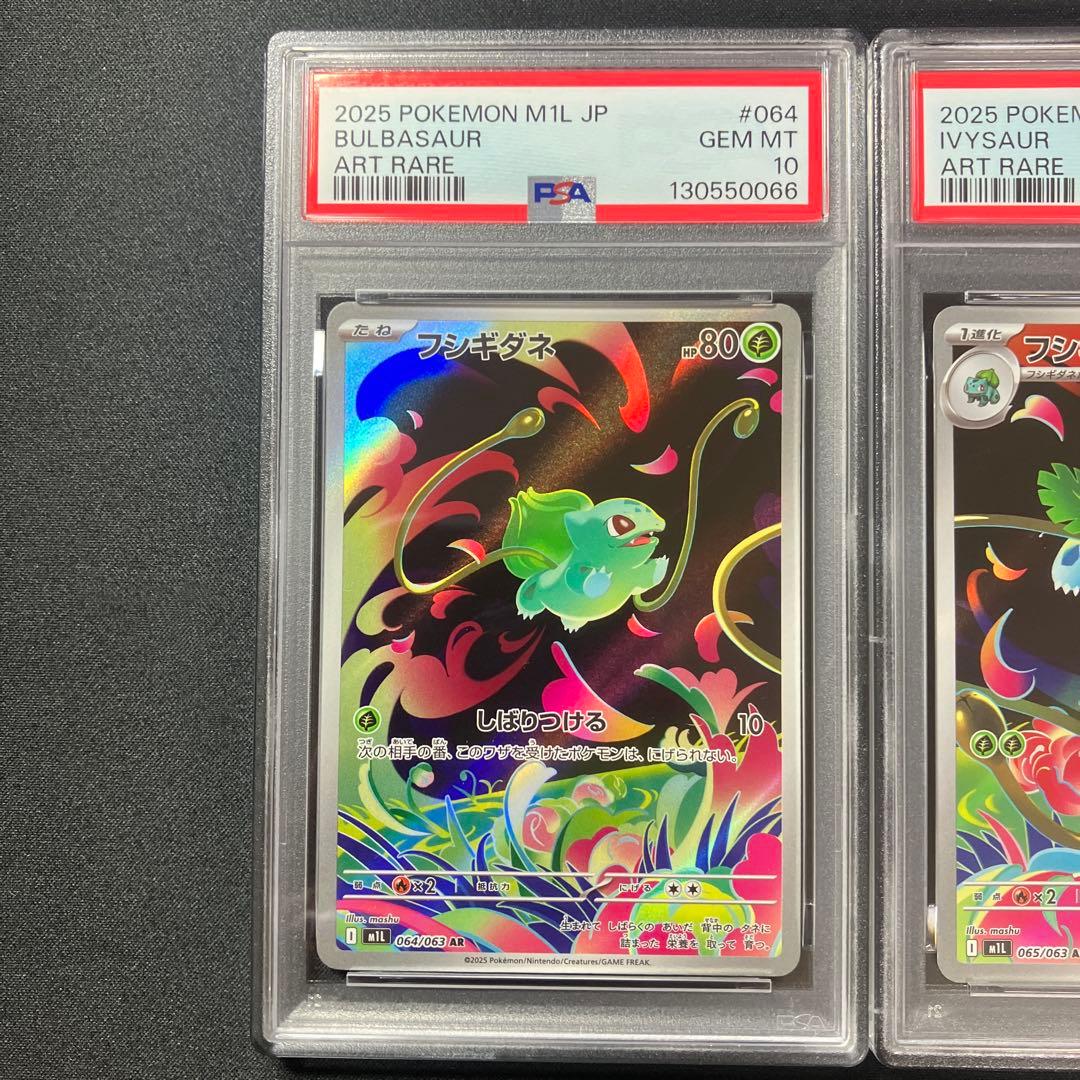 【PSA連番】メガフシギバナ　進化ライン3枚セット