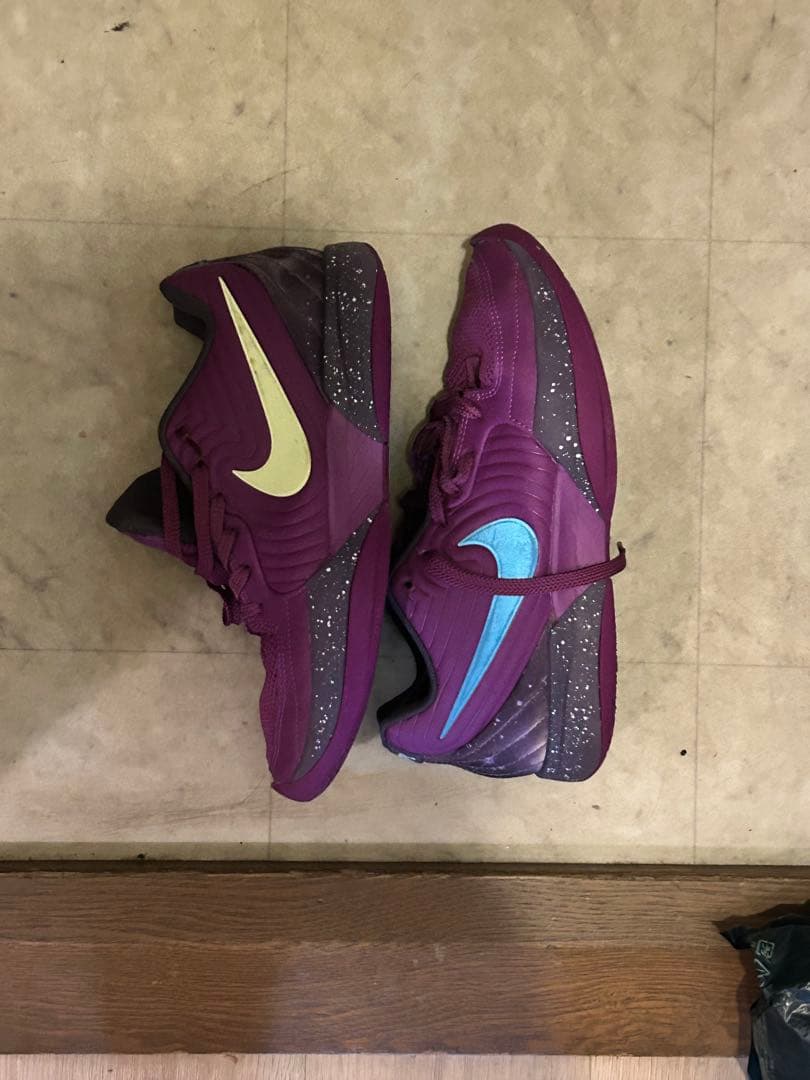 シューズ(男性用) Nike ja 2 EP purple sky