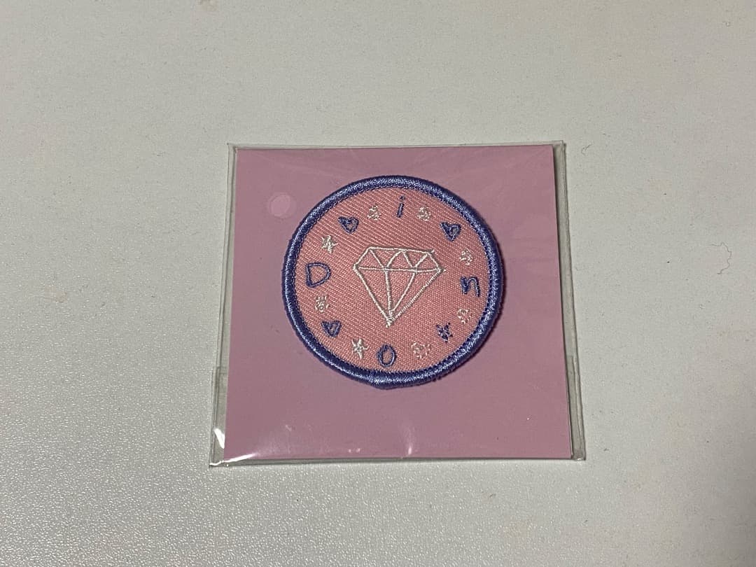 セブチ　ディノ　ネームワッペン　carat summer camp 新品未開封