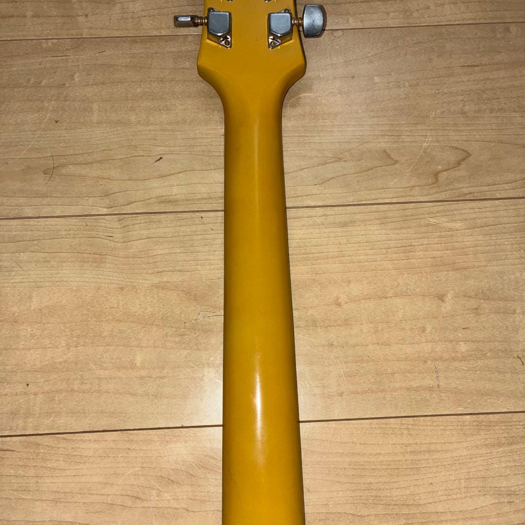 レアEpiphone エピフォン Les Paul junior DCレスポール