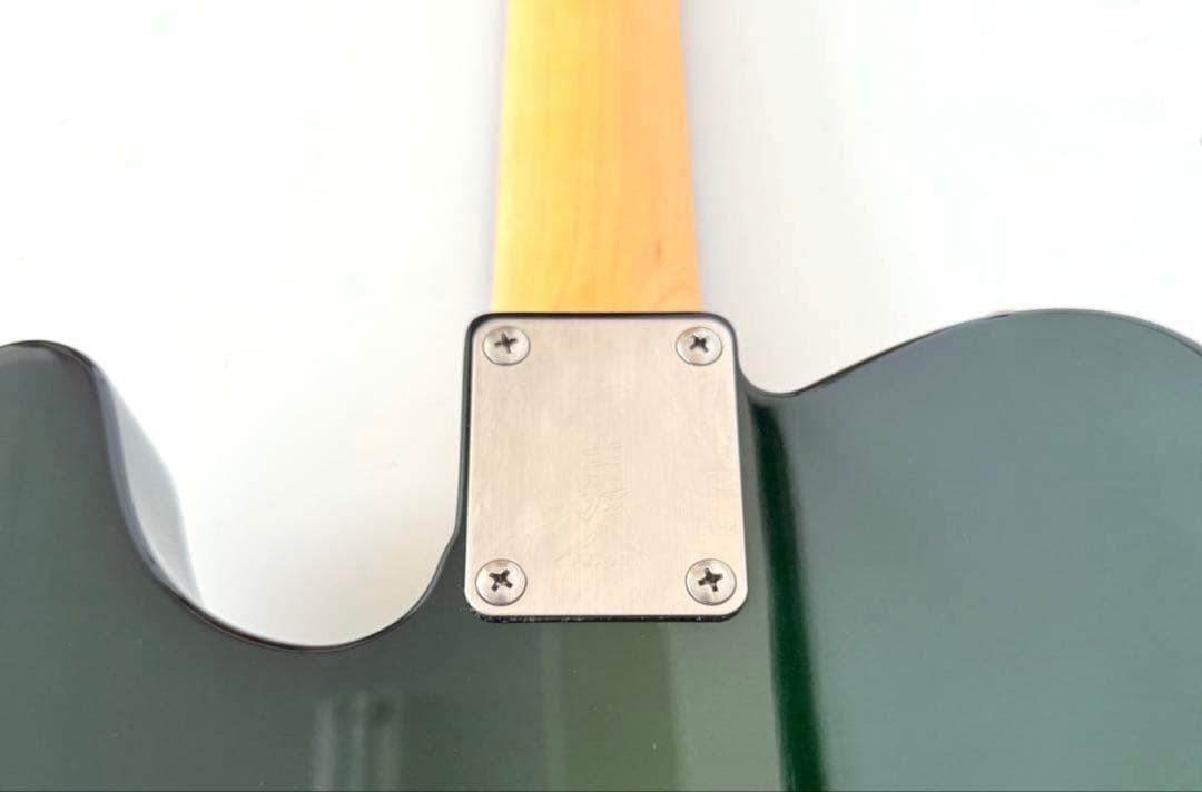 【美品】Fujigen NTL101-CAG フジゲン エレキギター