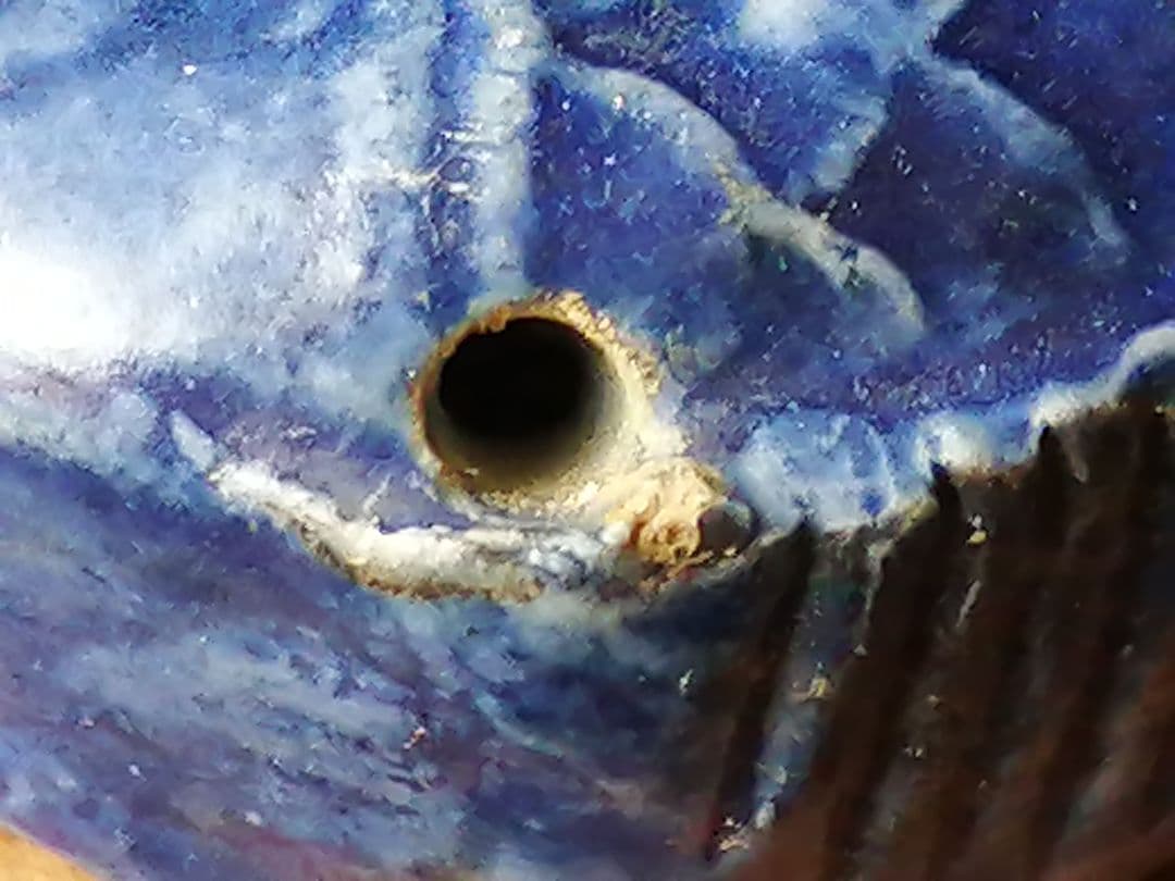 骨董　李朝　鯛型水滴書道具