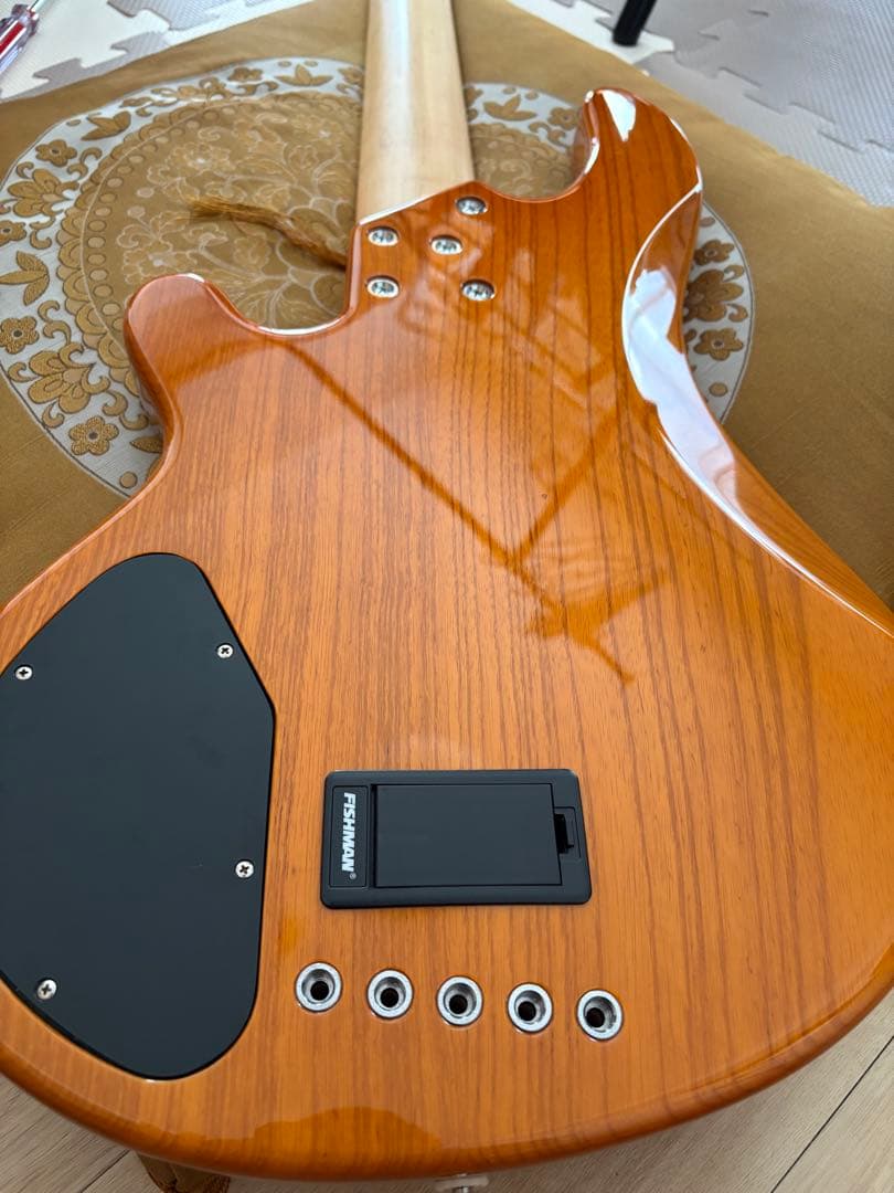 LAKLAND SL55-94DX 5弦　中古　美品