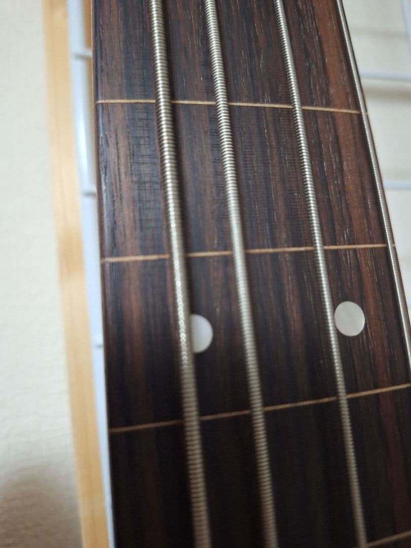 【美品】Bacchus フレットレスベース Universe Series