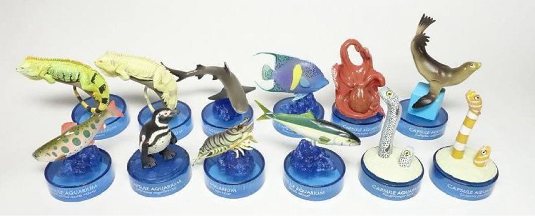 日本水族館立体生物図録6